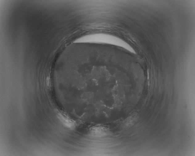 X0000082940408200702152219