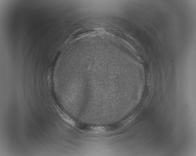 X0000082940409200702152219