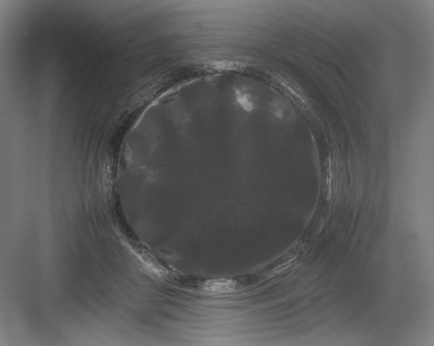 X0000082940410200702152219