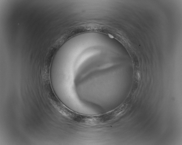 X0000082940411200702152219