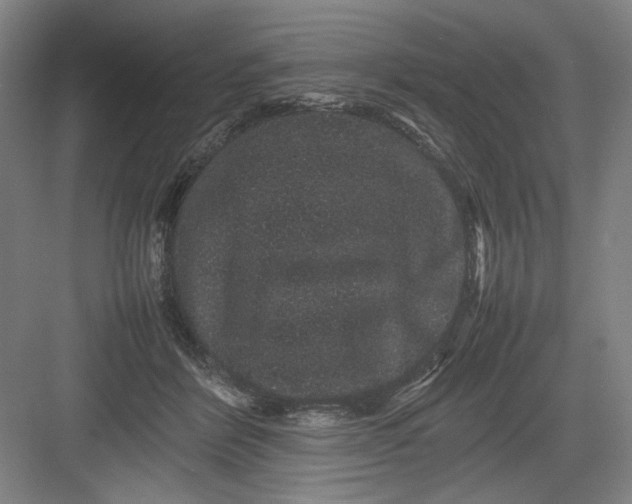 X0000082940412200702152219