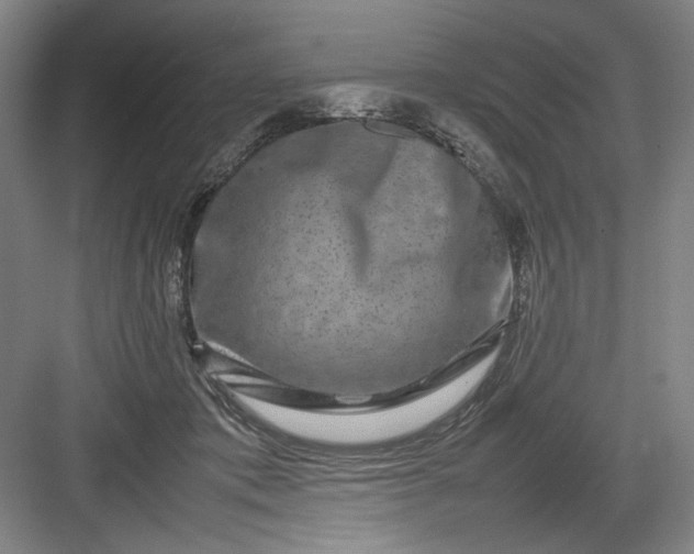 X0000082940413200702152219