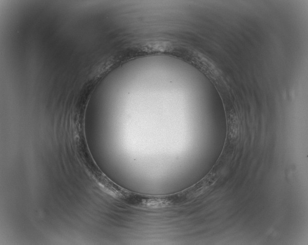 X0000082940414200702152219