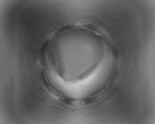 X0000082940415200702152219