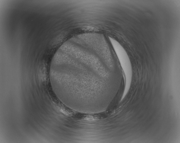 X0000082940416200702152219