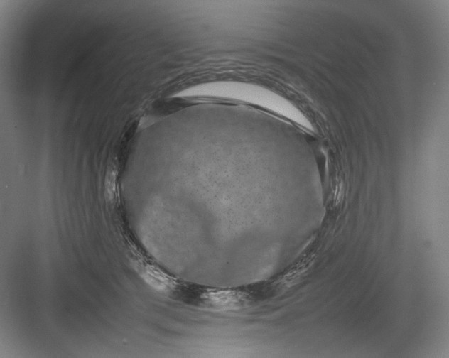 X0000082940417200702152219