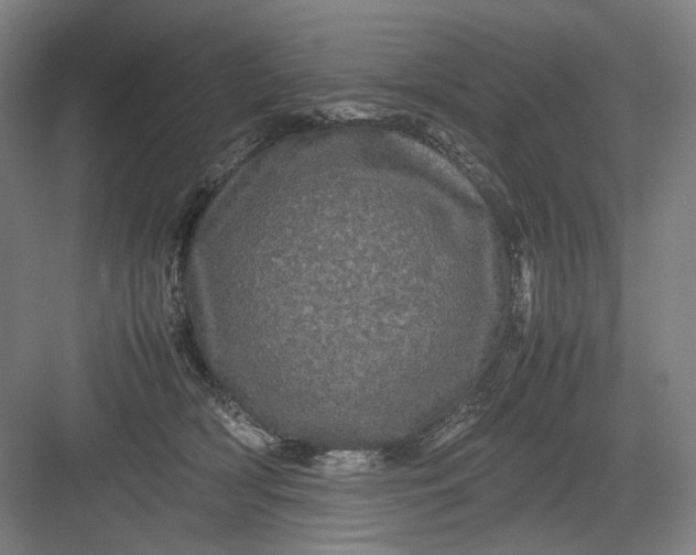 X0000082940418200702152219