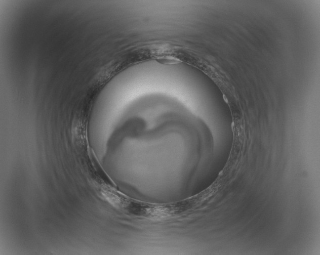 X0000082940419200702152219