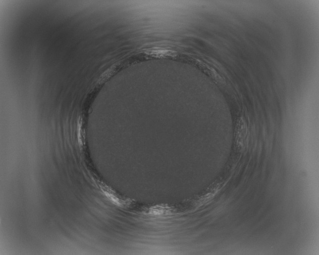 X0000082940420200702152219