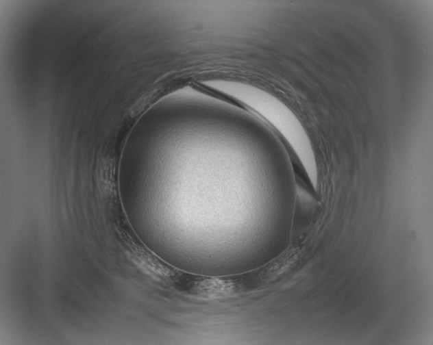 X0000082940421200702152219