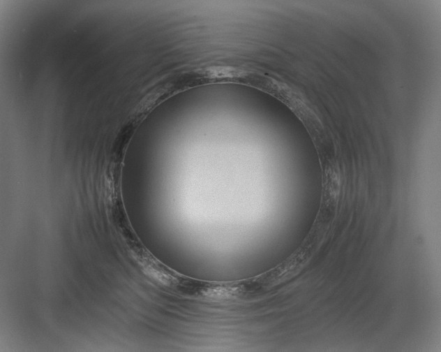 X0000082940422200702152219