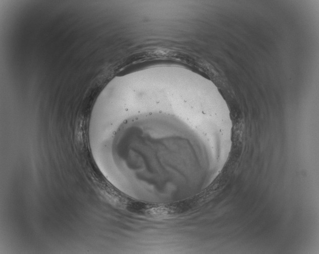 X0000082940423200702152219