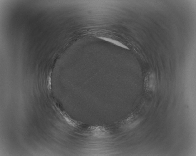 X0000082940424200702152219