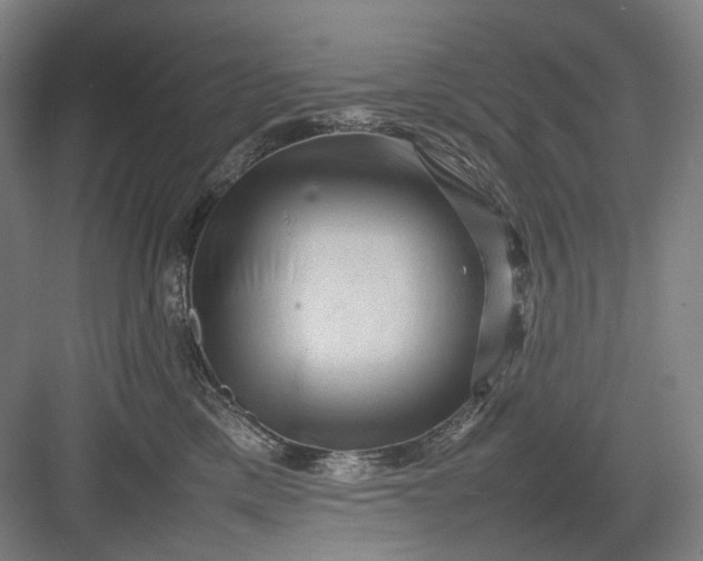 X0000082940425200702152219