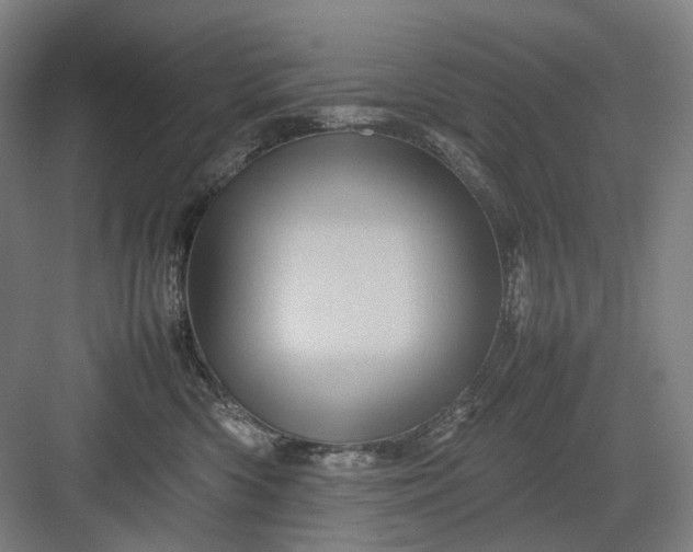 X0000082940426200702152219