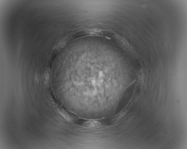 X0000082940427200702152219