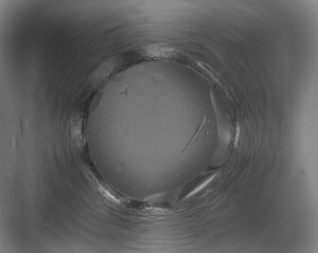 X0000082940428200702152219