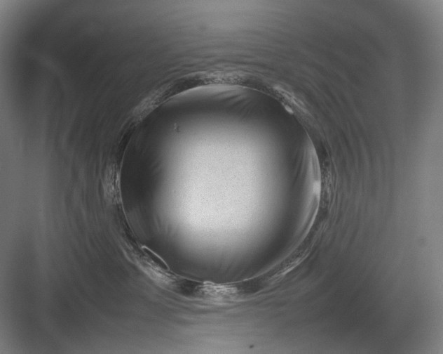 X0000082940429200702152219