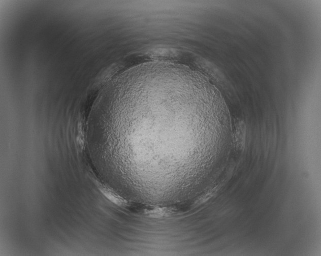 X0000082940430200702152219