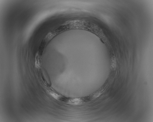 X0000082940431200702152219