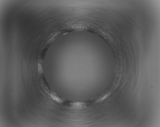 X0000082940432200702152219