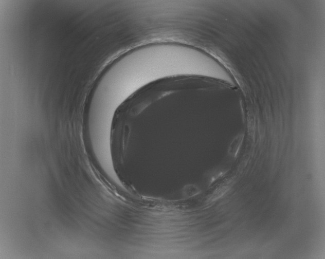 X0000082940434200702152218