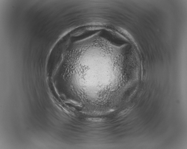 X0000082940435200702152218