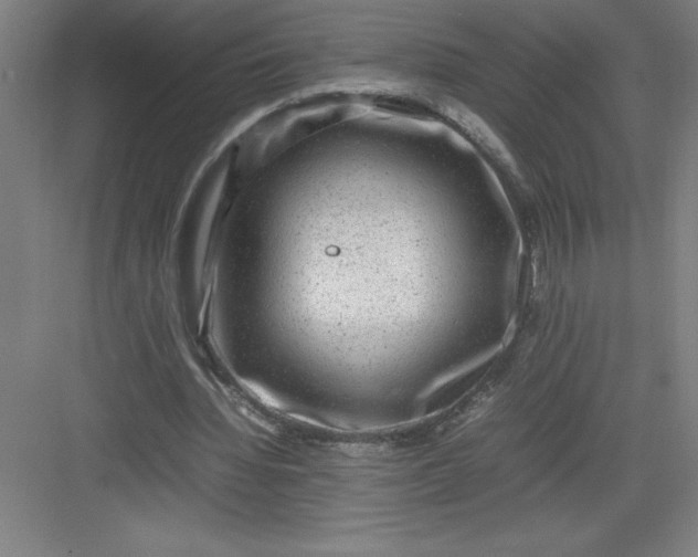 X0000082940436200702152218