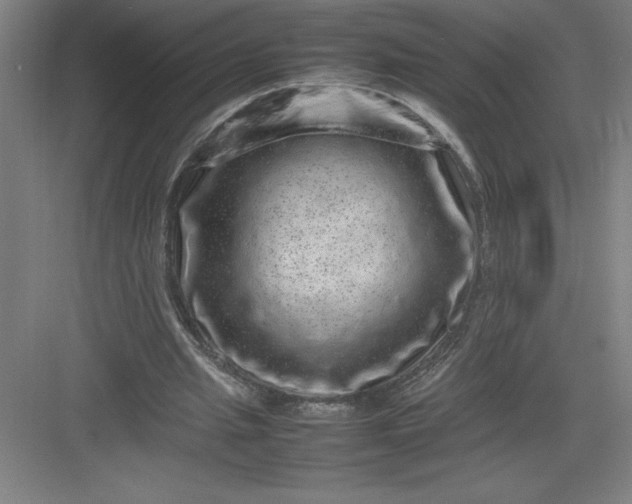 X0000082940437200702152218