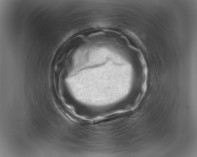 X0000082940439200702152218