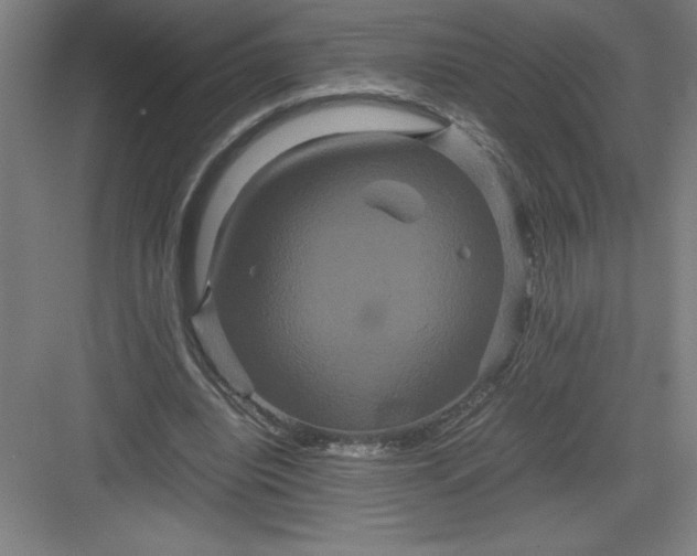 X0000082940440200702152218