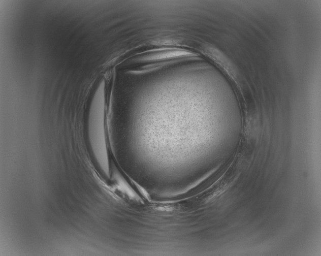 X0000082940441200702152218