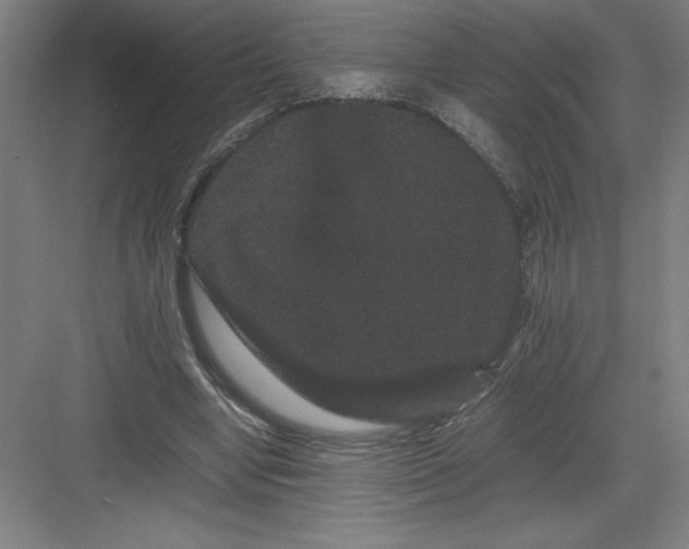 X0000082940442200702152218