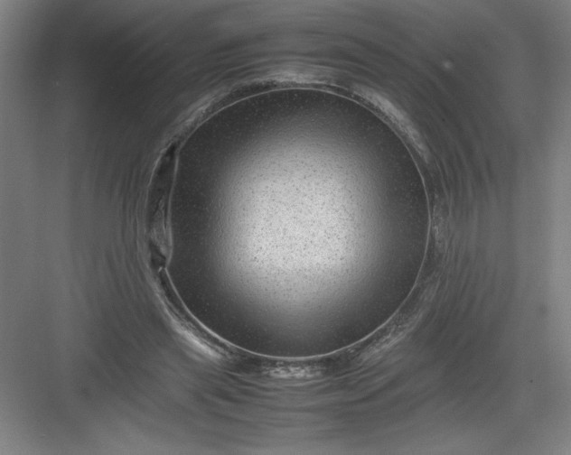 X0000082940445200702152218