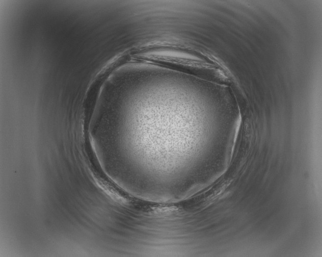 X0000082940446200702152218