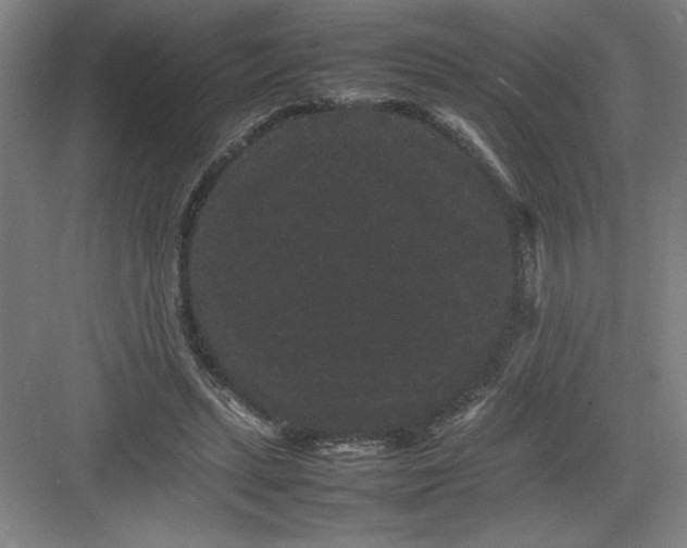 X0000082940447200702152218