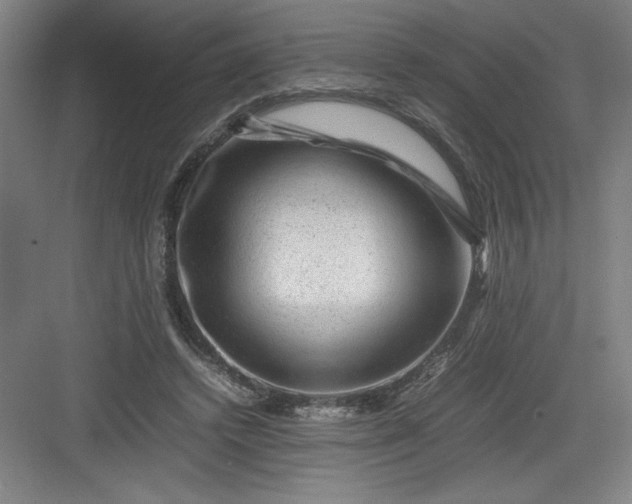 X0000082940448200702152218