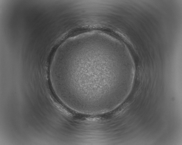 X0000082940450200702152218