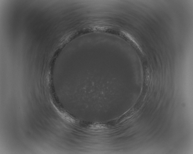 X0000082940451200702152218