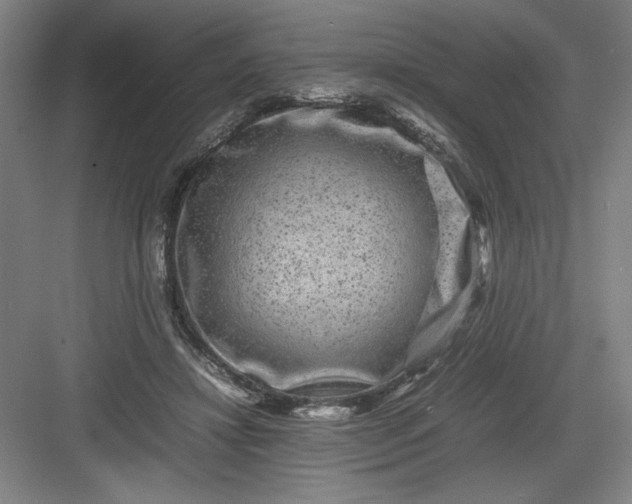 X0000082940452200702152218