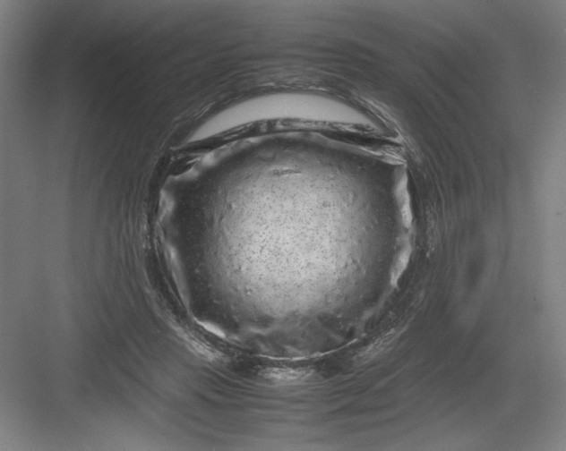 X0000082940453200702152218