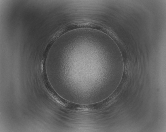 X0000082940454200702152218