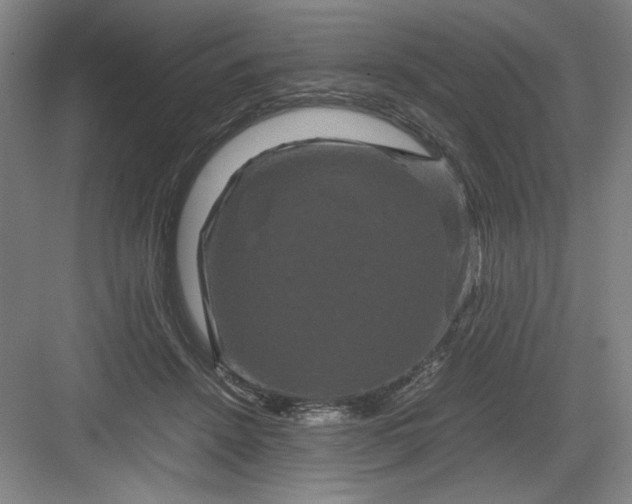 X0000082940456200702152218