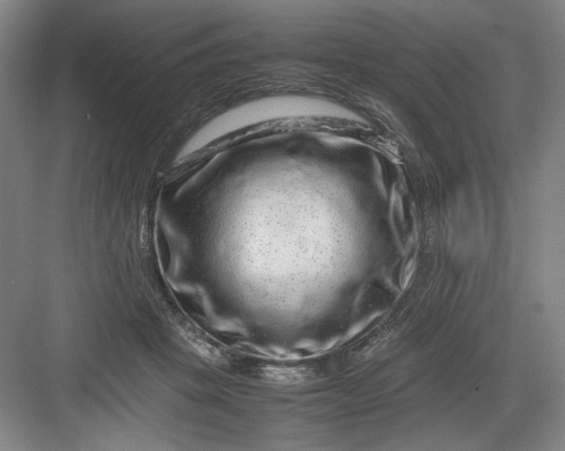 X0000082940457200702152218