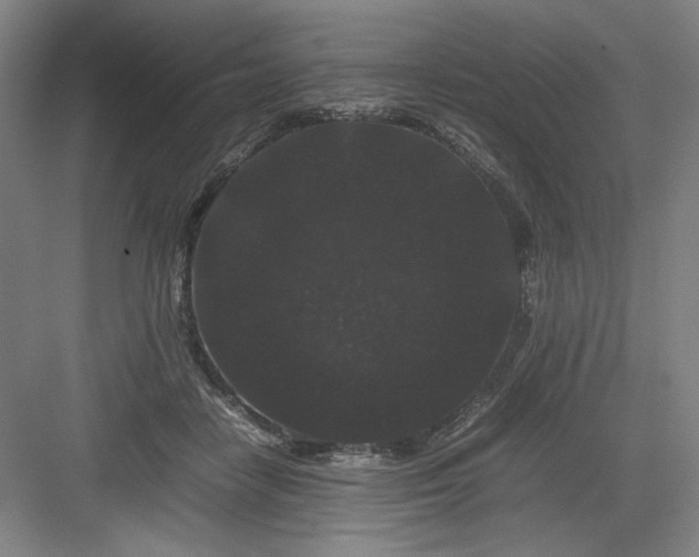 X0000082940458200702152218