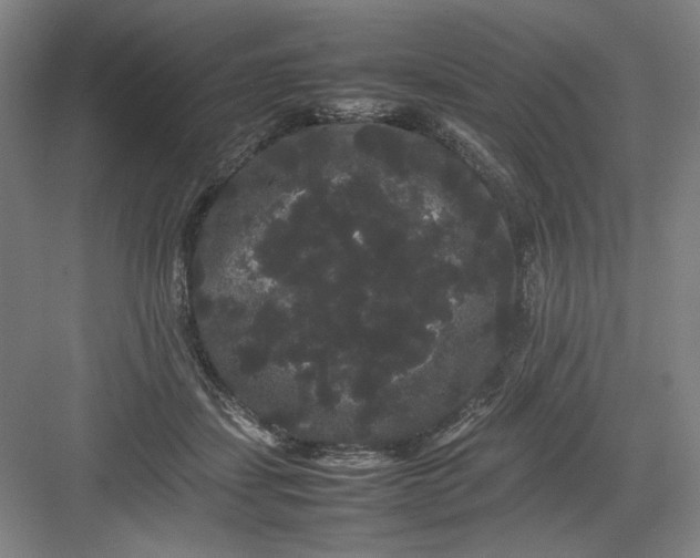 X0000082940459200702152218