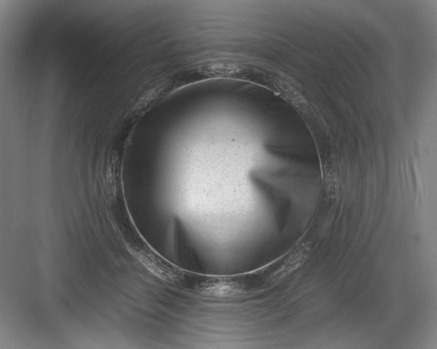 X0000082940460200702152218