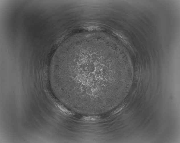 X0000082940461200702152218