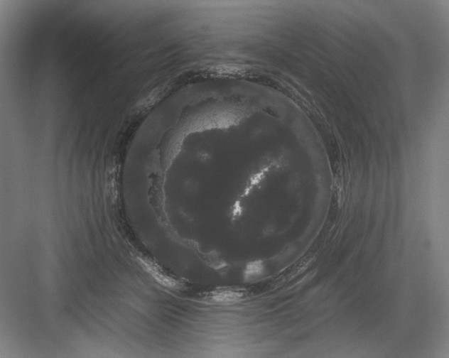 X0000082940462200702152218