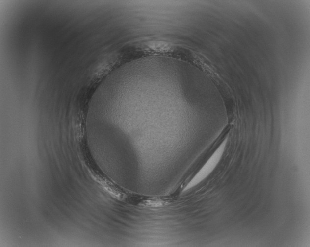 X0000082940464200702152218